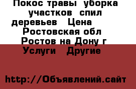  Покос травы, уборка участков, спил деревьев › Цена ­ 250 - Ростовская обл., Ростов-на-Дону г. Услуги » Другие   